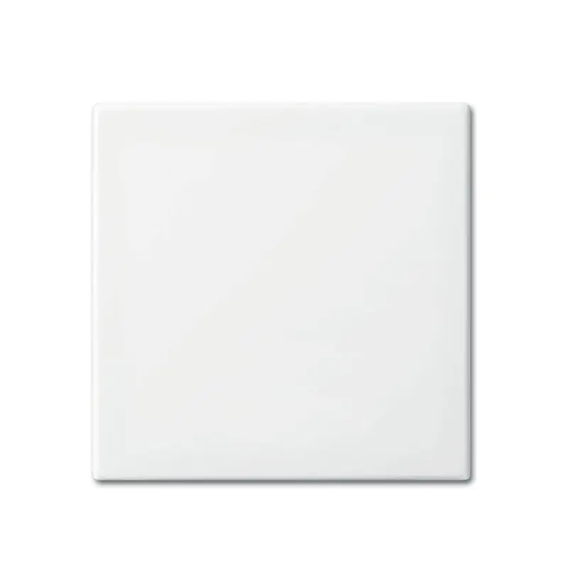 ABB Busch-Jaeger schakelwip, Balance SI, enkel, alpin wit Hete Deal