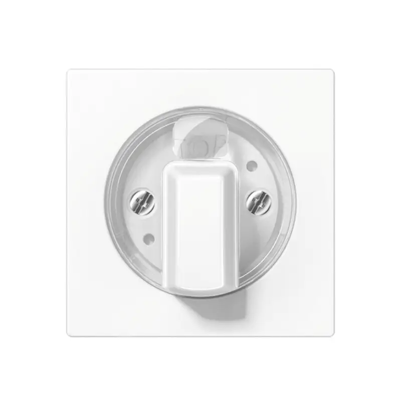 Wereldwijde Verzending Jung centraalplaat, AS range, voor draaischakelaar, schakelklok en jaloezieschakelaar, alpin wit