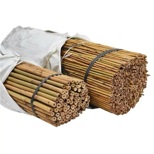 Bamboestokken - 270 cm - 20/22 mm Lage Prijs