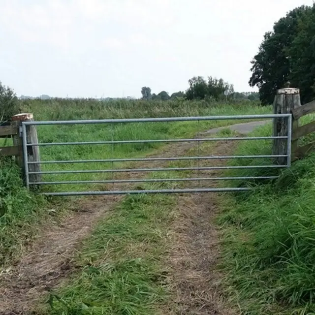 Favoriet Gegalvaniseerd Landhek (6-Stangs) - 400 x 100 Cm