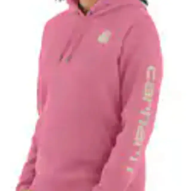 Trendy Carhartt 102791 Sweaters Houtroos S