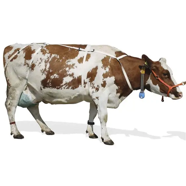 Bulkbestelling Akroh Uiernet Compleet Met Harnas XL