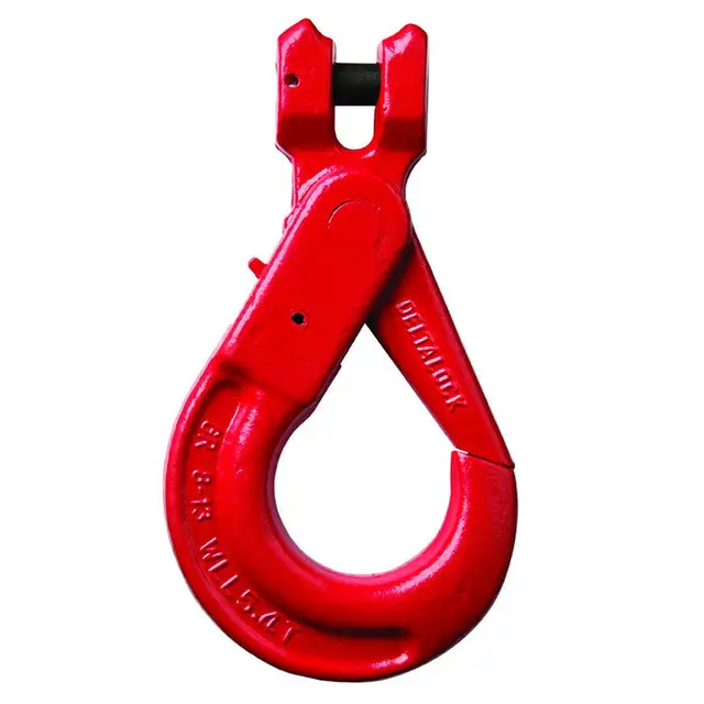 DELTALOCK Grade 80 - Gaffelhaak met slot met grip - 5,3 ton Modern