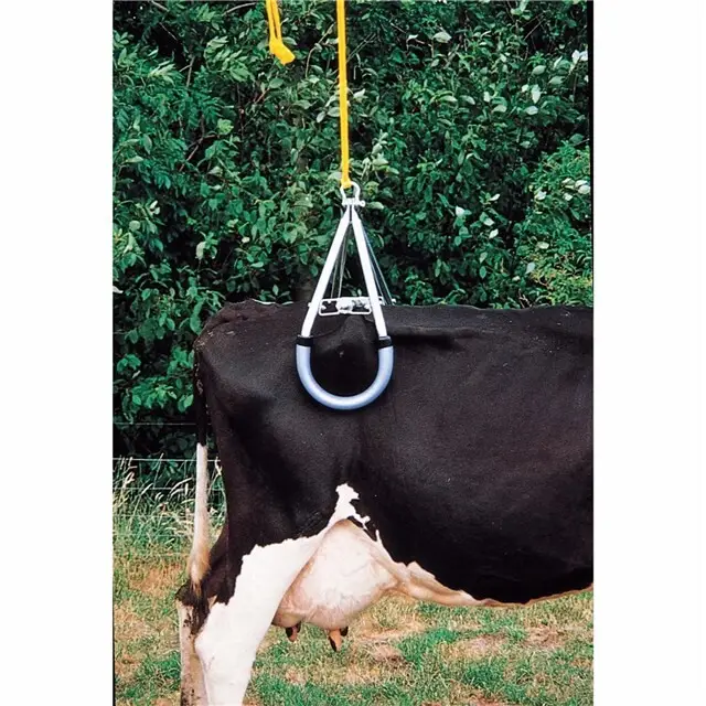 Vink Koelift Gecertificeerd