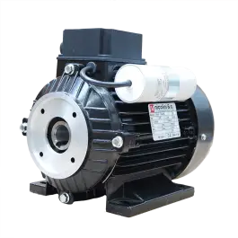 Lage Kosten Nicolini elektromotor 1.5kW - 230V - holle as D=24 mm - IEC90