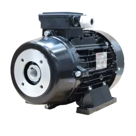 Lage Kosten Nicolini elektromotor 6.5 kW - 230/400V - Interne flexibele koppeling ZG151 - IEC112