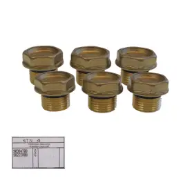 Wereldwijde Verzending Interpump Kit 4 - Kleppluggen (6x)