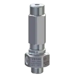 Veiligheidsventiel VS100 - RVS316 In De Mode