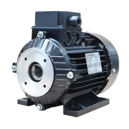 Betrouwbaar Nicolini elektromotor 1.1kW - 230/400V - holle as D=24 mm - IEC 90