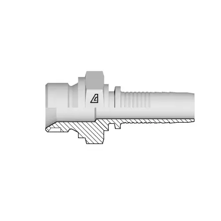 Garantie Inbegrepen Alfagomma Slangpilaar BSPT Uitw. DN10 - 1/4"