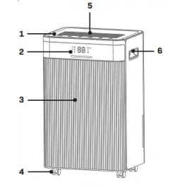 Ambachtelijk Castor Wheels - DF503AC