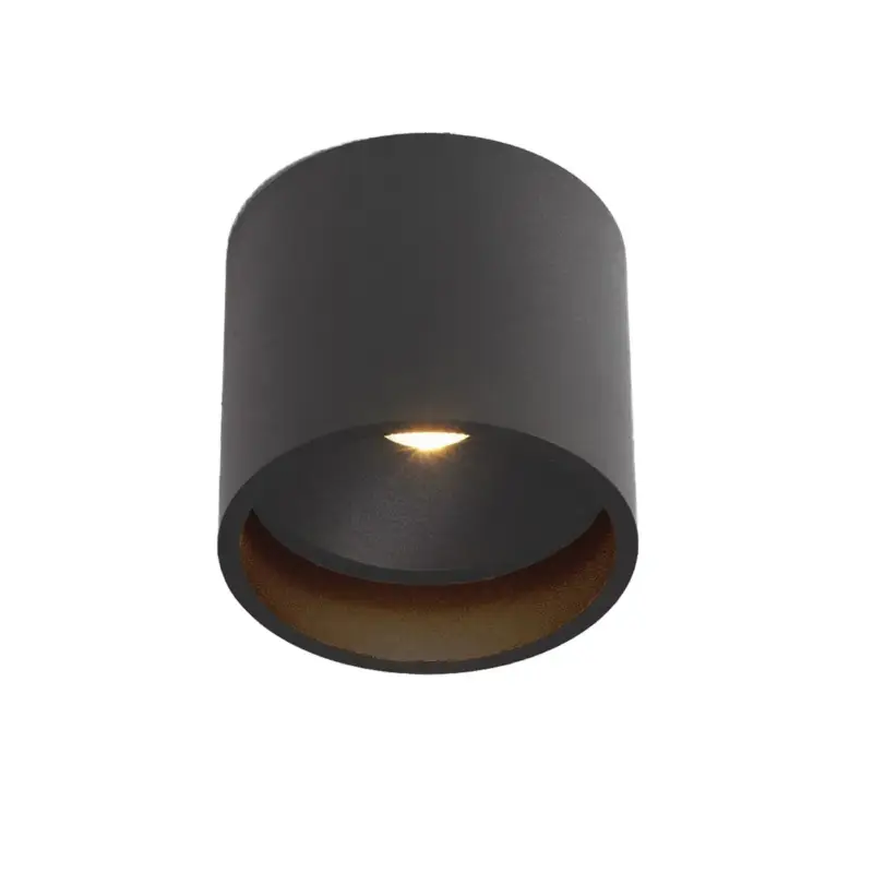 Artdelight Plafondlamp Orleans Ø 11cm H 10cm Zwart Betaalbaar