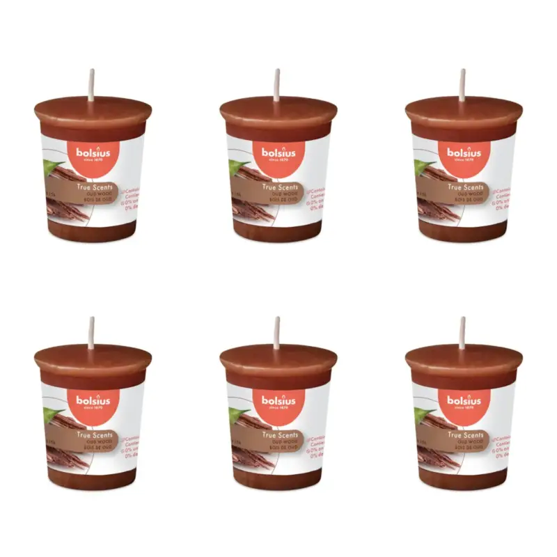 Alleen Vandaag Bolsius - True Scents - Votive rond - 53/45 - Oud Wood - 6 verpakkingen