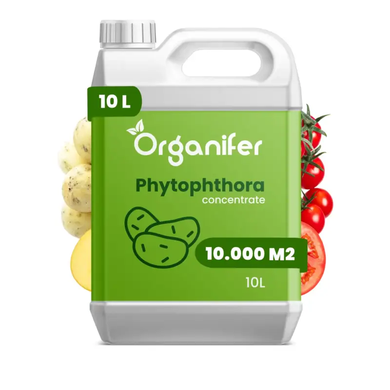 Wereldwijde Verzending Phytophthora Concentraat - 10 L Voor 10.000 M2 - Organifer