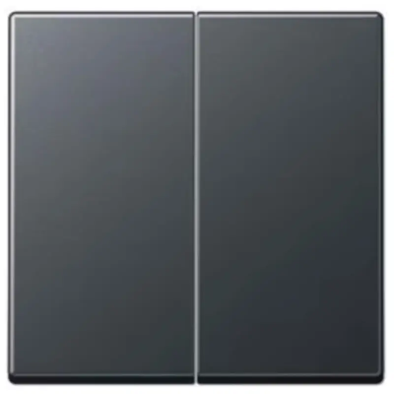 Authentiek Jung A500 serie schakelwip antraciet - A595BFANM