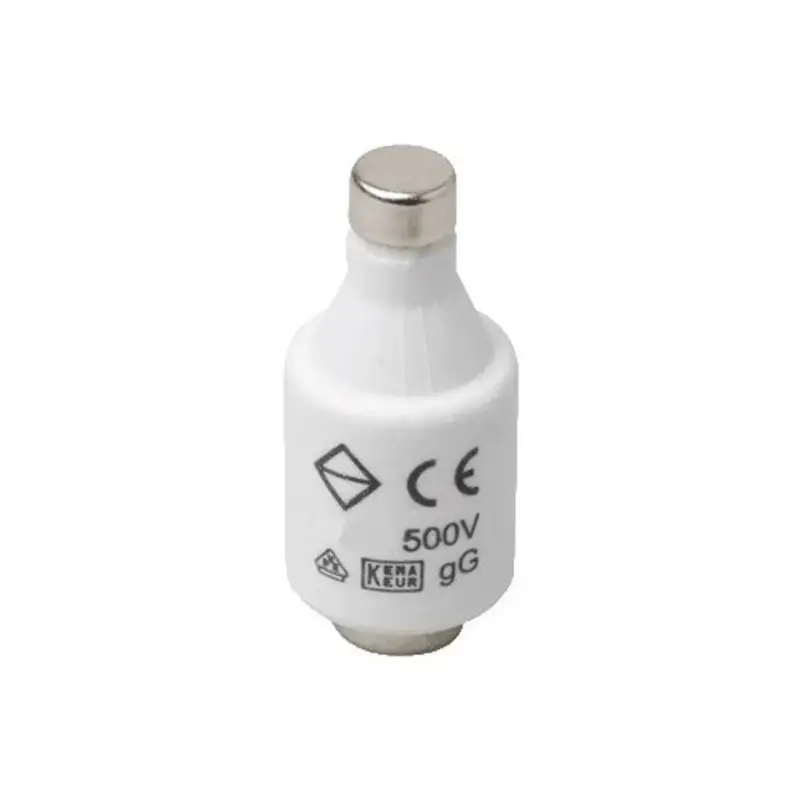 Wereldwijde Verzending Oem - Smeltzekering 20a Traag