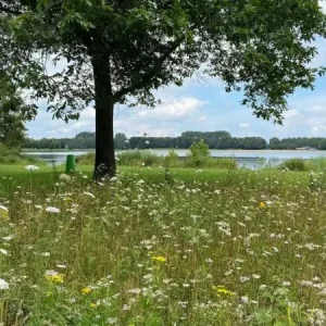 Staygreen 2 EPR (100 gram) Plaats Bestelling